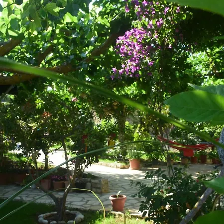 Sparto Village Σπίτι διακοπών *